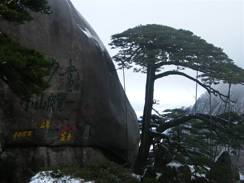 2009年3月份集團(tuán)工會(huì)組織全體員工外出旅游活動(dòng)8.jpg